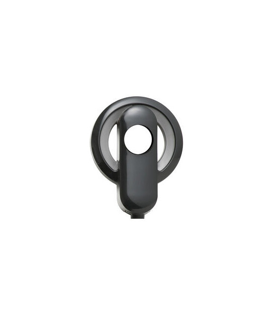 Nucleus 6 ritė